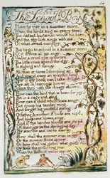 The School Boy, plate 54 (Bentley 53) from Songs of Innocence and of Experience (Bentley Copy L)